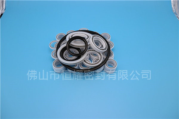 HOB、HVB孔用泛塞封 (7)