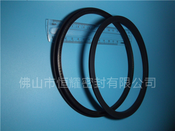 HOD、HVD旋轉(zhuǎn)泛塞封 (15)
