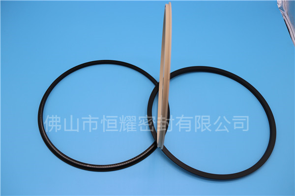 HOD、HVD旋轉(zhuǎn)泛塞封 (18)