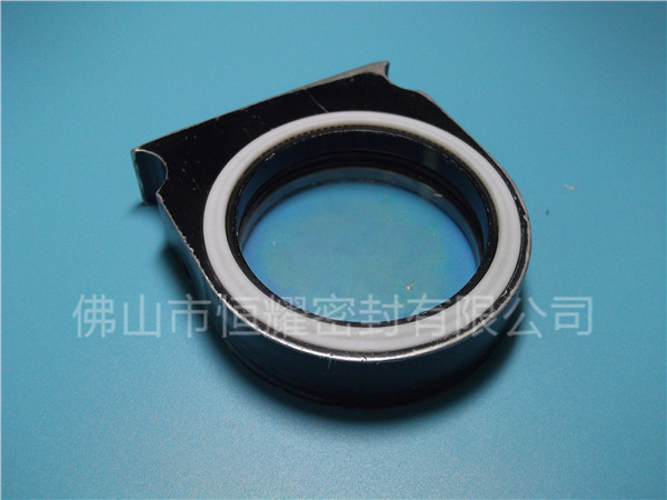 HVF、HVG端面內、外向泛塞封 (2)