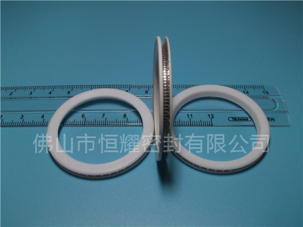 HVF、HVG端面內(nèi)、外向泛塞封 (10)