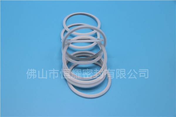 HVF、HVG端面內(nèi)、外向泛塞封 (15)