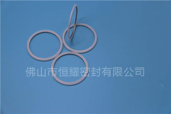 HVF、HVG端面內(nèi)、外向泛塞封 (20)