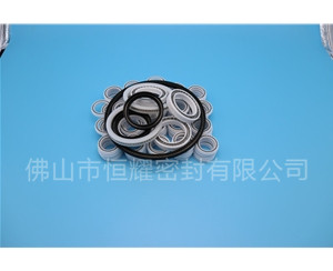 HOB、HVB孔用泛塞封 (7)