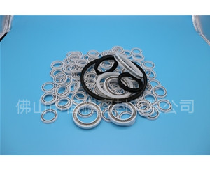 HOB、HVB孔用泛塞封 (8)