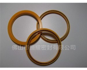 HOD、HVD旋轉(zhuǎn)泛塞封 (8)