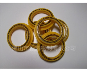 HOD、HVD旋轉(zhuǎn)泛塞封 (9)