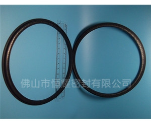 HOD、HVD旋轉(zhuǎn)泛塞封 (13)