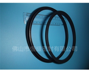 HOD、HVD旋轉(zhuǎn)泛塞封 (15)