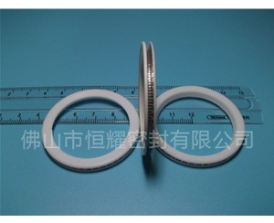 HVF、HVG端面內(nèi)、外向泛塞封 (10)