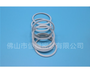 HVF、HVG端面內(nèi)、外向泛塞封 (15)