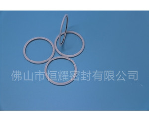 HVF、HVG端面內(nèi)、外向泛塞封 (20)